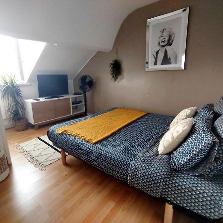 Le Maliya Apartment Blois Bagian luar foto