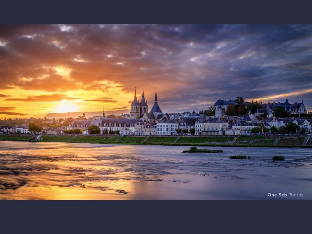 Le Maliya Apartment Blois Bagian luar foto